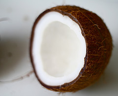 Coconut